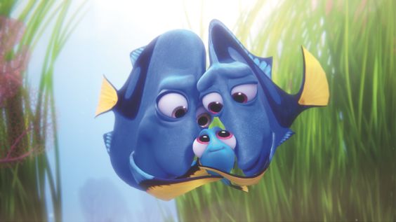 dory1